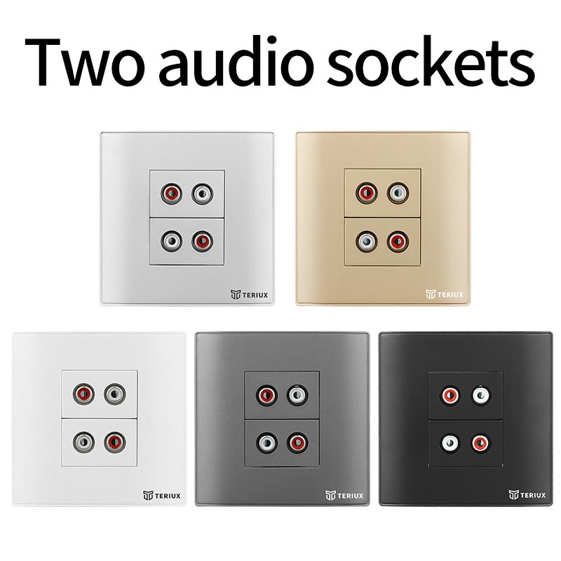 2 lỗ hổng Audio Wall Socket